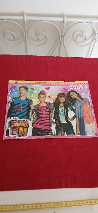 Poster Shake it Up