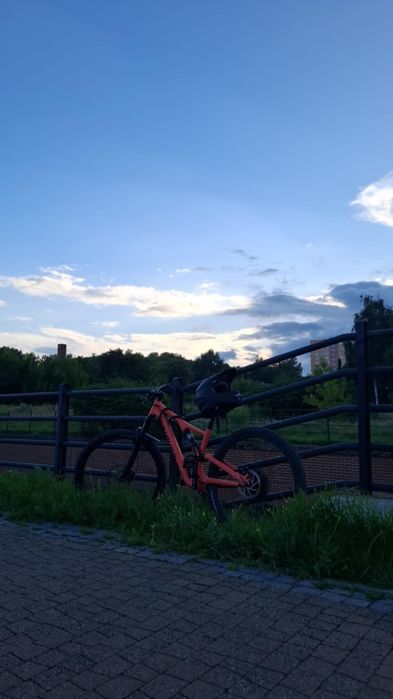 Rower specialized