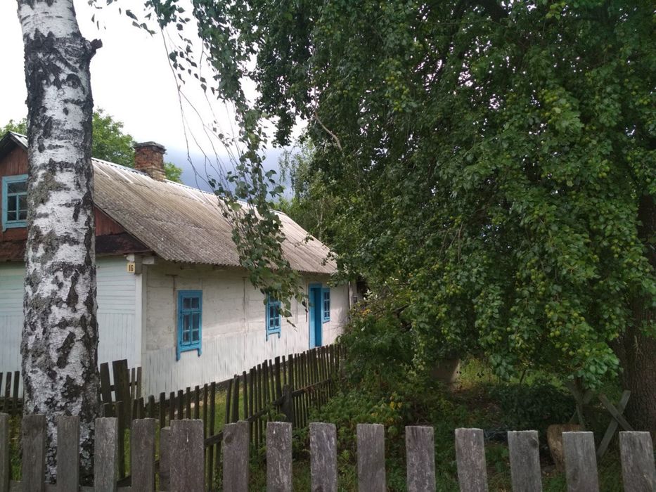 Будинок з ділянкою, хата