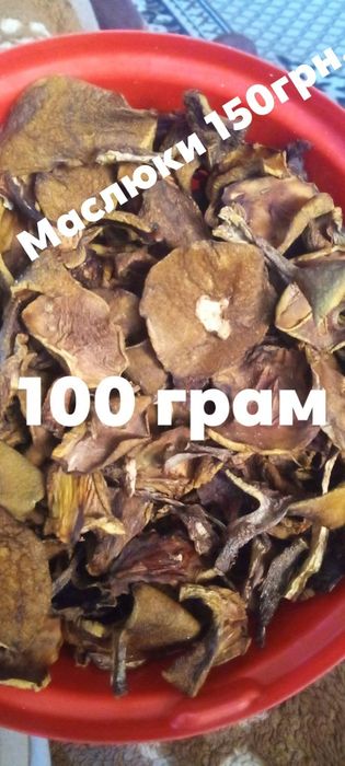 Продам сушені гриби.Підберезники,білі літні,маслюки,порошок білих гриб