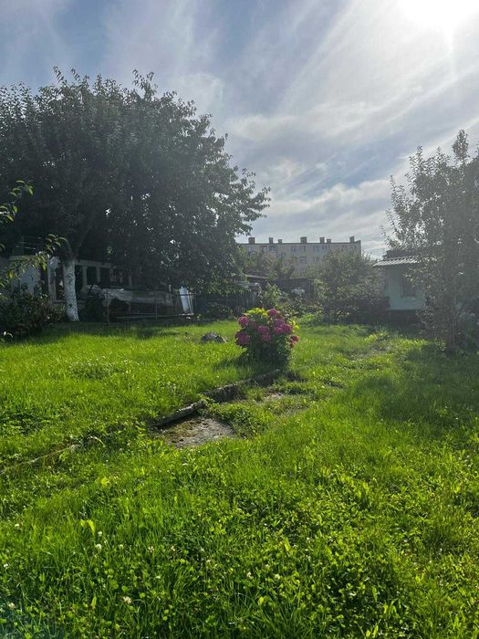 Działka ROD im. Żwirki Wigury Chojnice Kościerska