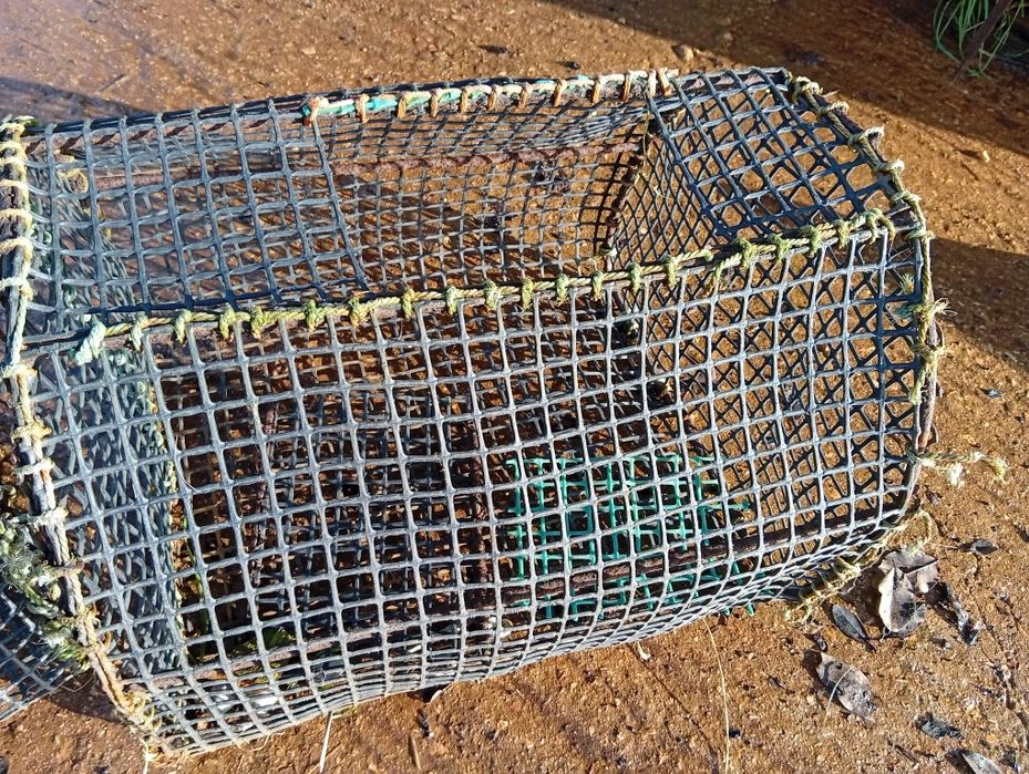 Vende se caixas de pesca por 18€ as duas juntas