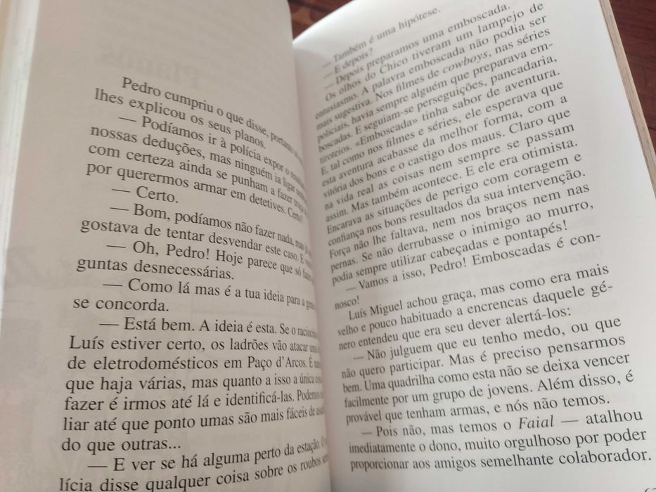 Uma aventura nas férias grandes