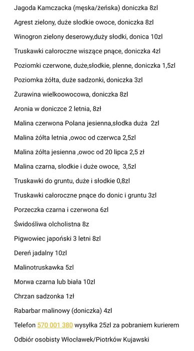 Jeżyna bezkolcowa słodkie i duże owoce