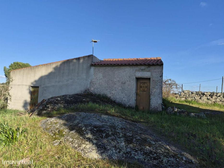 Quinta