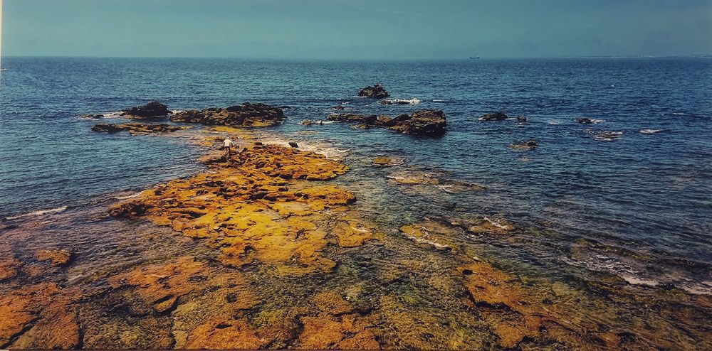 Tela de autoria própria