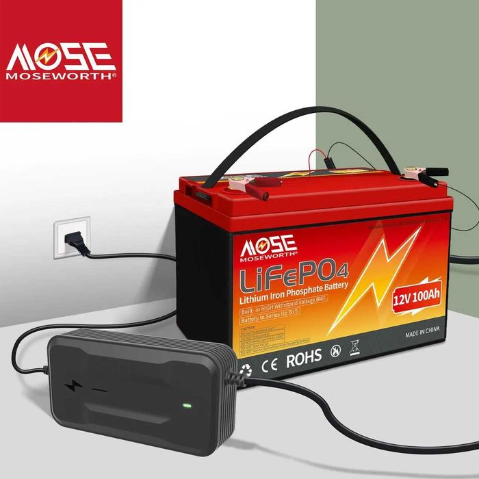 Акумулятор MOSEWORTH LiFePO4 12 V 100 Ah з зарядним пристроєм і BMS