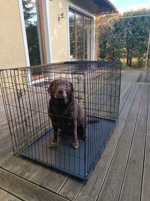 KLATKA METALOWA DLA PSA kennelowa składana zamykana XL 93CM kojec NOWY
