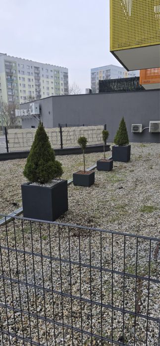 Termo Donice na Wymiar