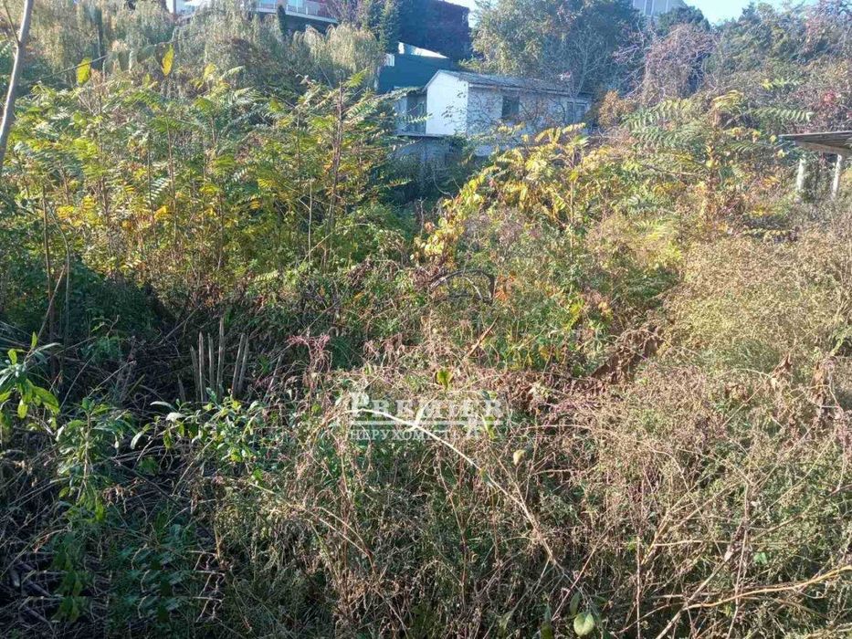 Продам ділянку на березі моря в с. Крижанівка