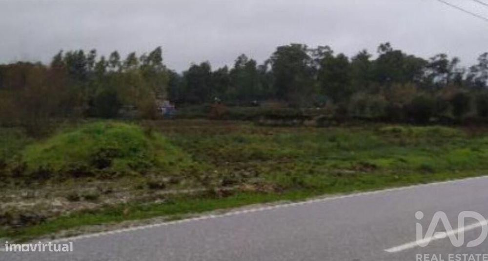 Terreno Agrícola em Canas de Santa Maria