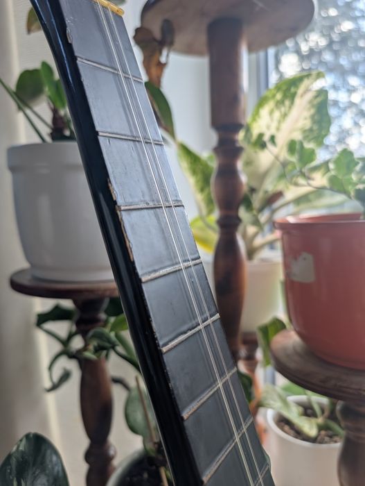 Gitara klasyczna S&M