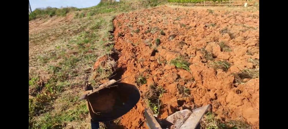 Serviços agriculas,corta mato,limpeza de terrenos e quintais..