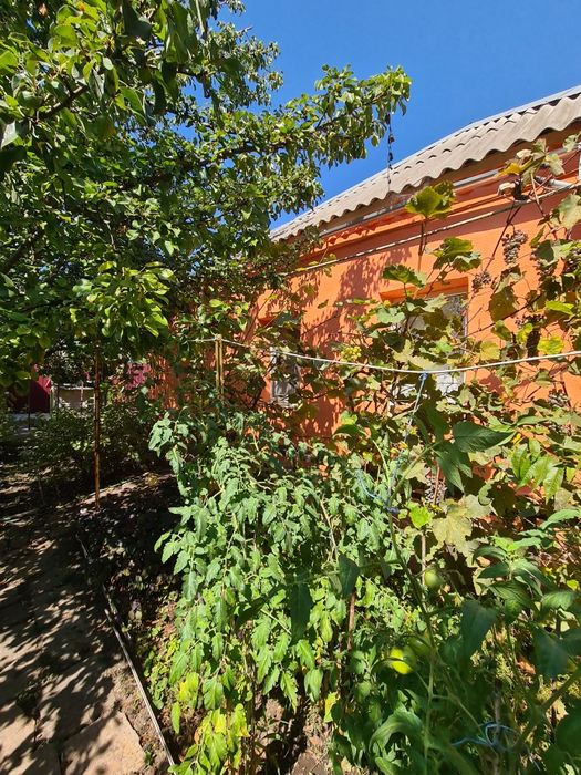 Продам дом "Райский уголок" в Таромском