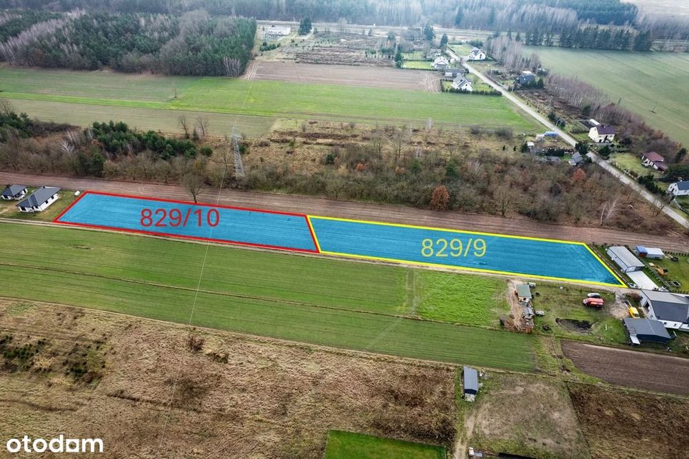 3002 m² natury i spokoju w Gręzowie