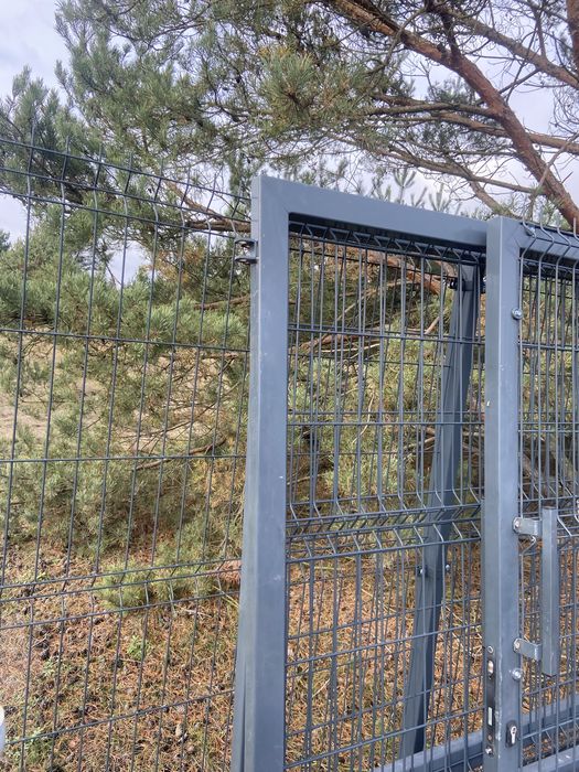 Brama ogrodzeniowa z furtką - duża