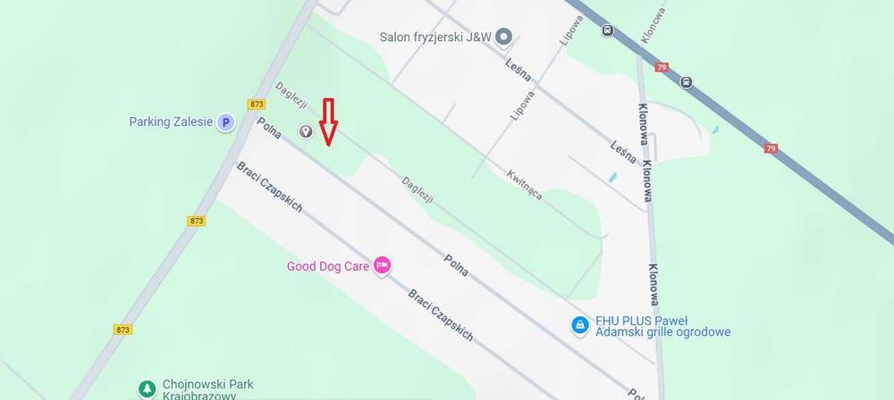 Sprzedam działki budowlane pod Warszawą (Chojnowski Park Krajobrazowy) - Widok 3
