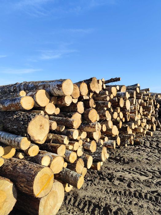 Drewno kominkowe i opałowe