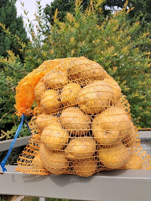 Ziemniak "Jurek"