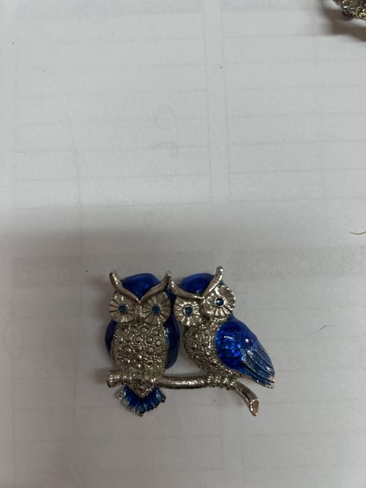 Broche de coruja olho azul