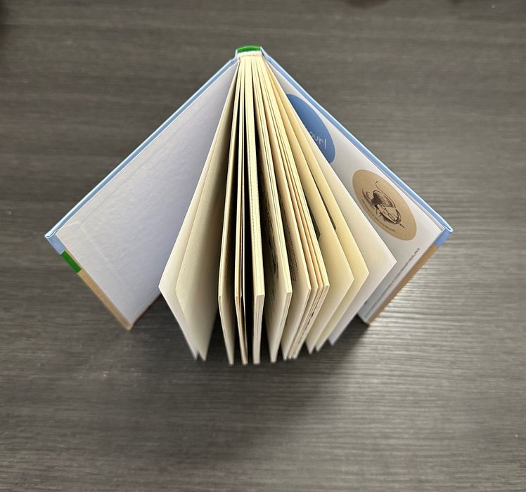 Книга « Джуді Муді навколо світу за 8 1/2 днів»