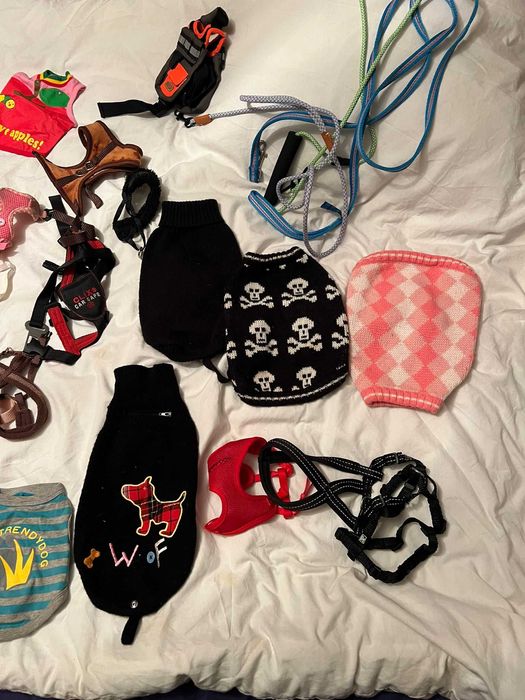 Pack de roupas + trelas para cão pequeno