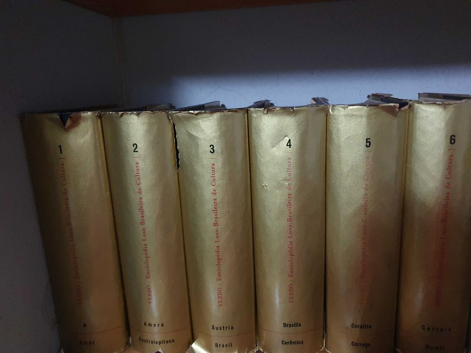 Enciclopédia Luso Brasileira