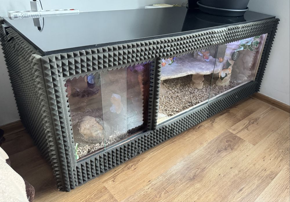 Terrarium 2w1 ręcznie wykonane