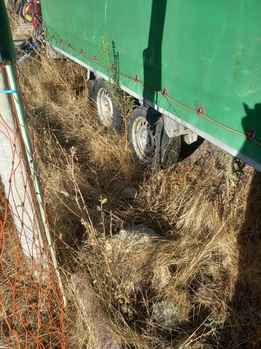 Reboque transporte 3000 kg