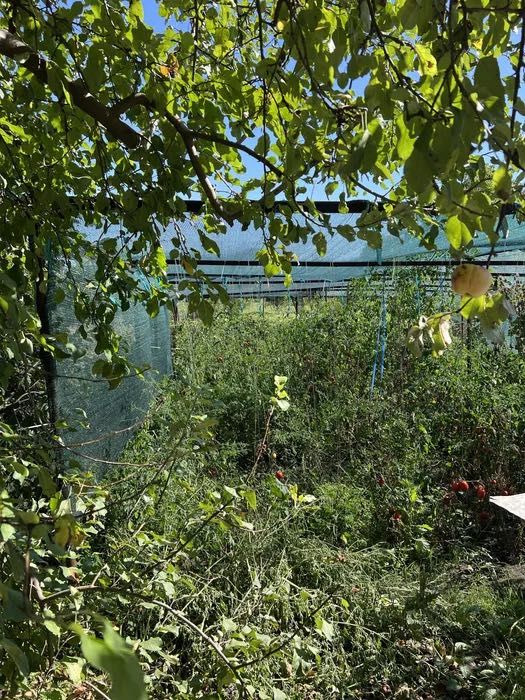 65 тис.$‼️Эксклюзив! Лучший дом в Мерефе/ Южный/ Высокий