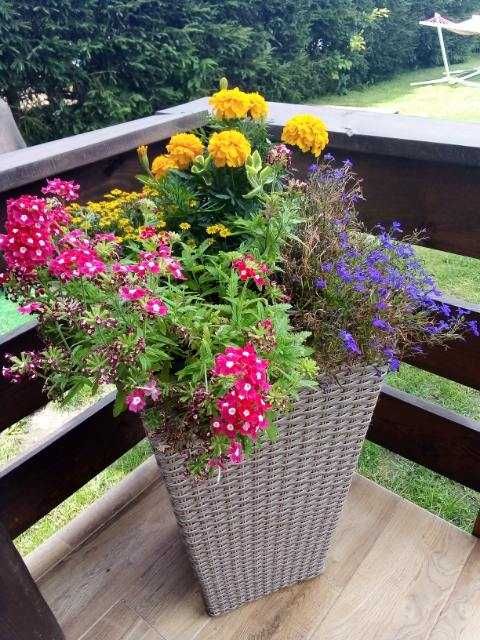 Dom nad jeziorem Niegocin k/Giżycka Mazury