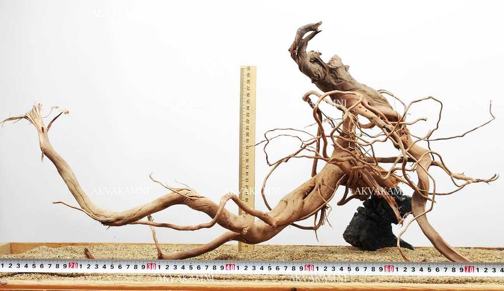 Корчі до акваріуму та тераріуму. Азалія, Ротанг, Коралове, Бонсаі.