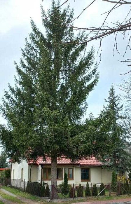 Mieszkanie – Stężyca, powiat rycki - Widok 2