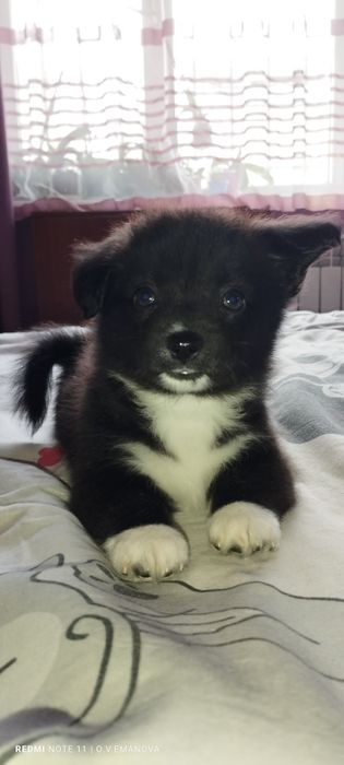 В самі добрі ручки, маленька солоденька булочка