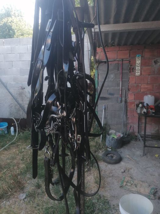 Utensílios para cavalo