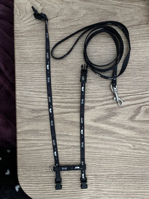 Arnes e Guia de passeio