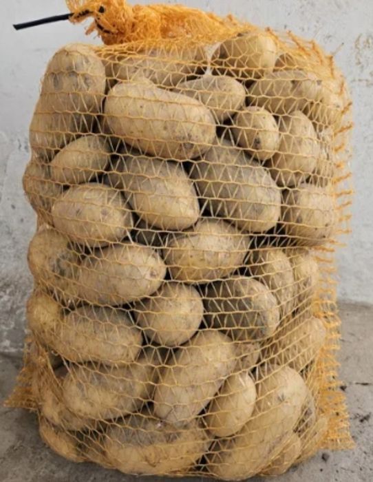 Ziemniaki vineta
