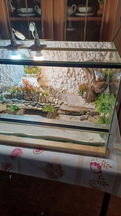 Terrarium 80x40x40 z wyposażeniem( jak nowe)