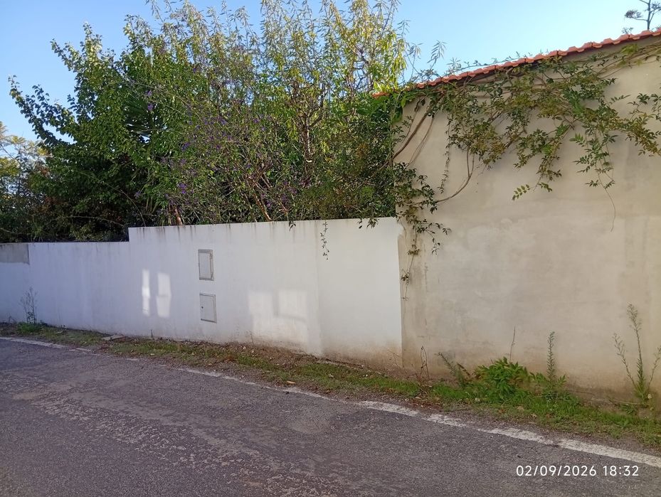 Quintinha com casa em pedra para recuperar – Presalves, Montemor-o-Velho