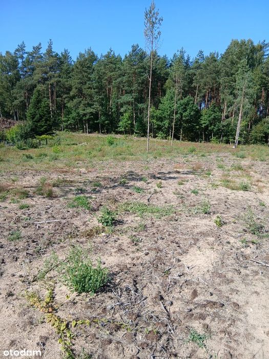 Kaszuby sprzedam działki budowlane – Struga, gmina Stara Kiszewa