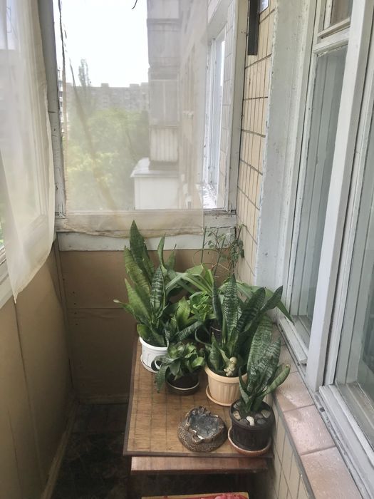 Сдам  на місяць свою однокімнатну без комісіі