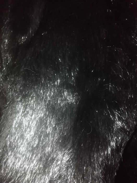 Шуба жіноча натуральна?