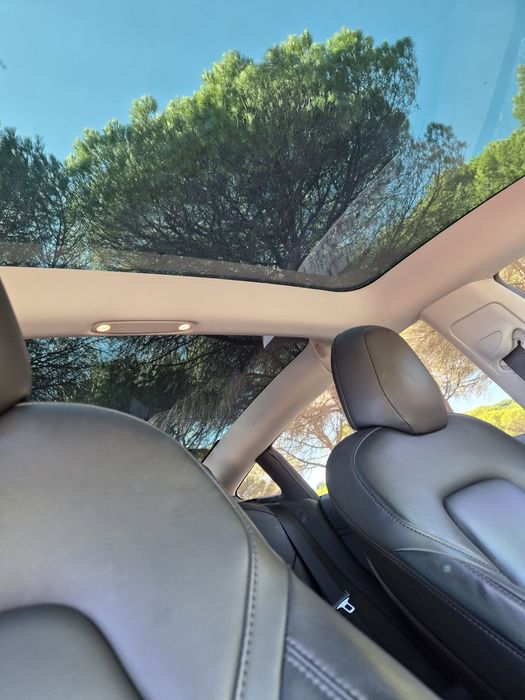 Tesla model 3 dual motors long range2019