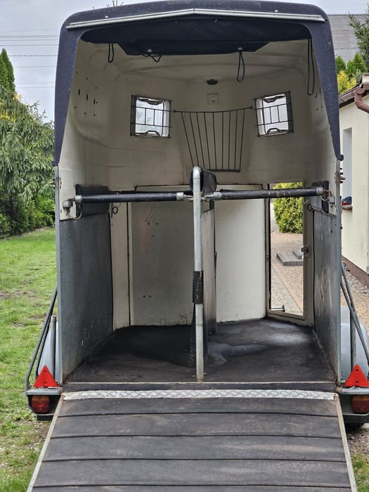 Przyczepa do koni Marquardt Galant – 100% Sprawna, DMC 2000kg, Transport