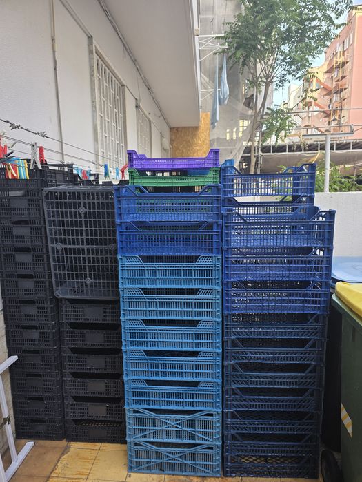Caixas plásticas vários tamanhos