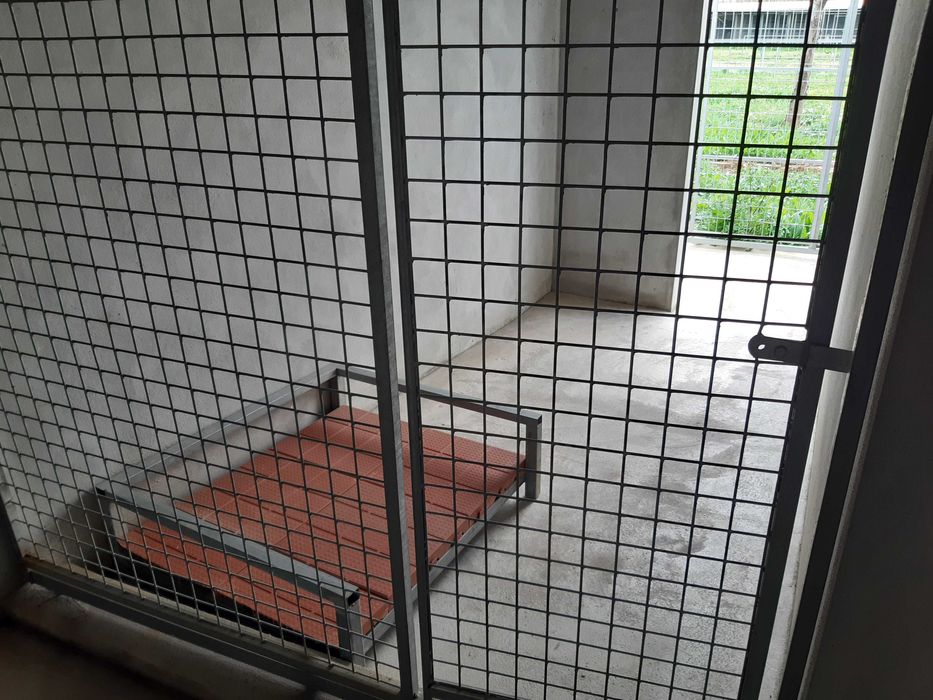 Hotel canino e felino - alojamento para cães e Gatos em coimbra