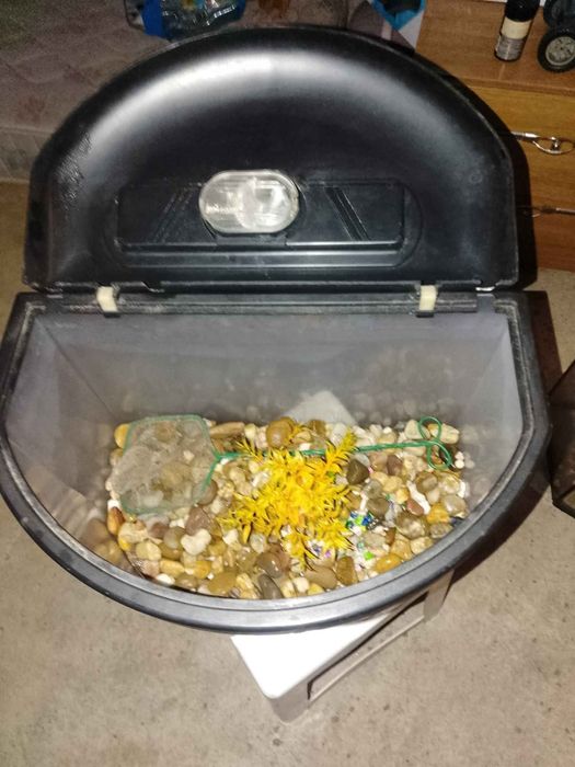 2 Aquários para venda