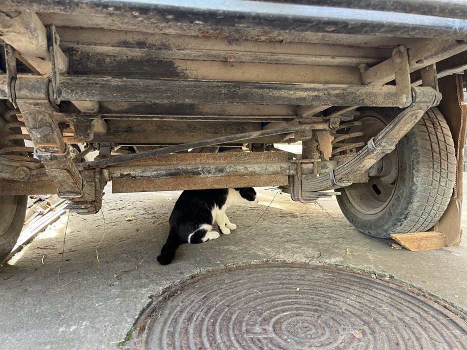 Причіп легковий усиленний .