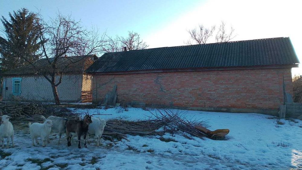 Будинок с. Тернівка, Бершадський р-н