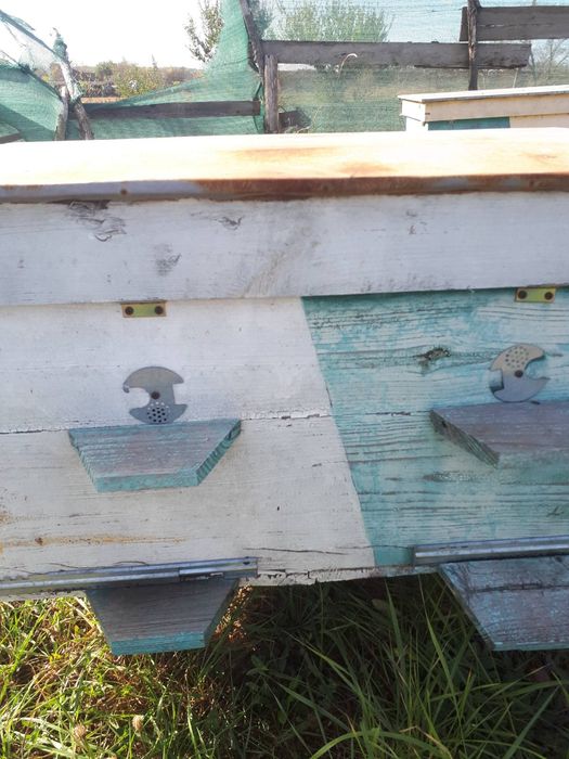 Продаж  вуликів для бджіл